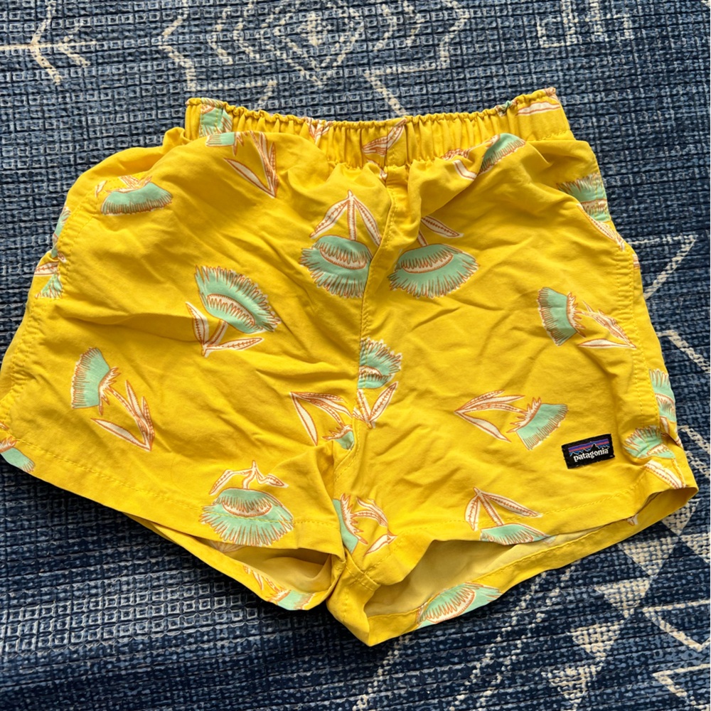 Patagonia board short baggies size 2T
